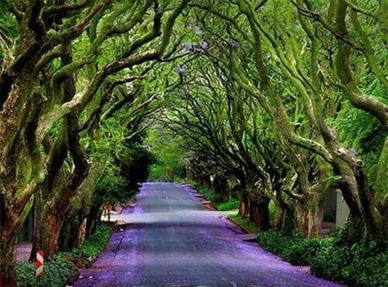 Maharashtra Nature Park